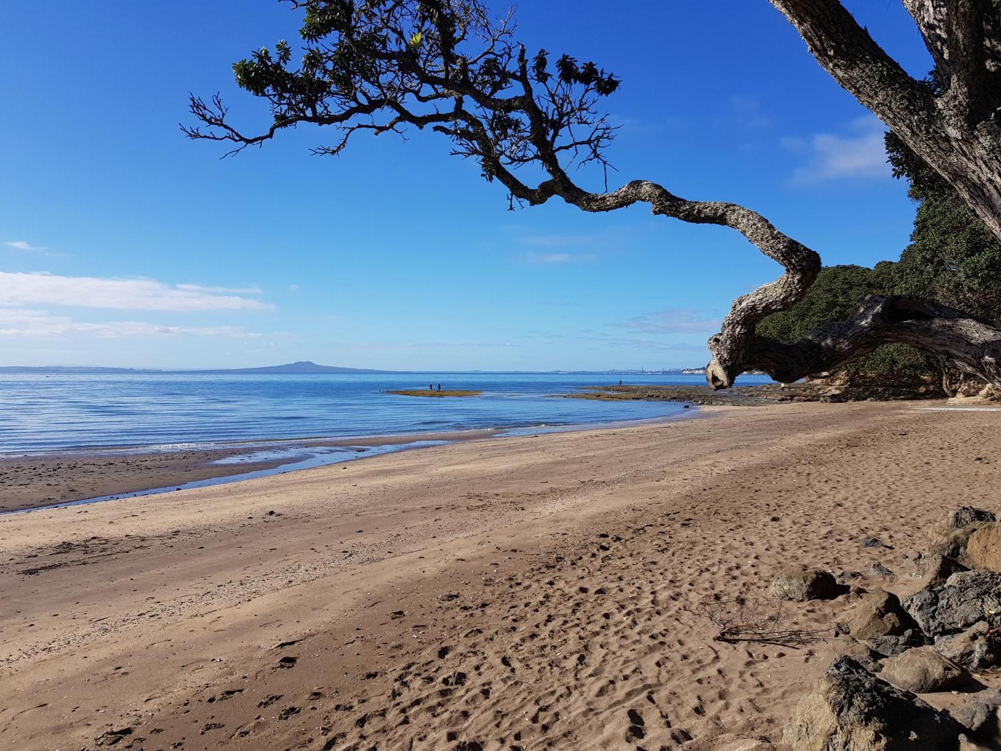 Whangaparaoa Lodge Экстерьер фото